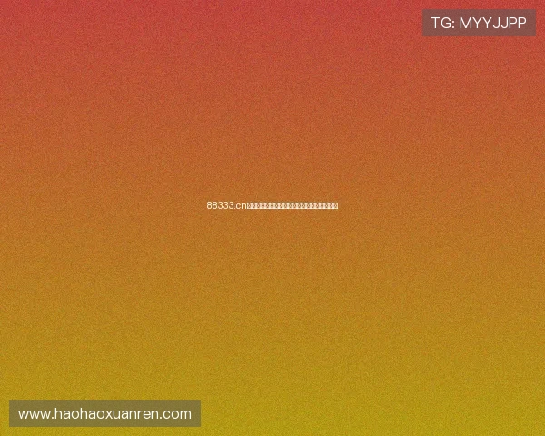 88333.cn网站免费资源下载使用疑问与解决方案全解析